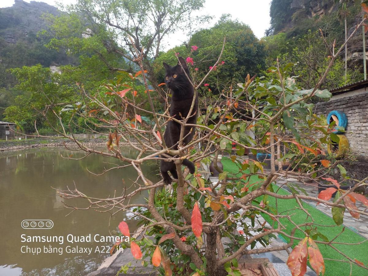 Trang An Pristine View Homestay Ninh Binh Exterior foto